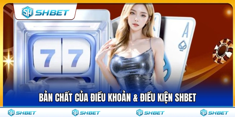 Điều khoản & điều kiện SHBET 1 Điều khoản & điều kiện SHBET được xây dựng như thế nào?