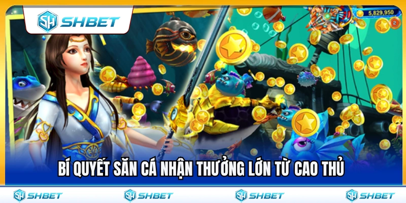 Bắn Cá 3D SHBET – Trải Nghiệm Đại Dương Mượt Trên Điện Thoại 4 Mẹo săn cá nhận thưởng lớn đến từ cao thủ