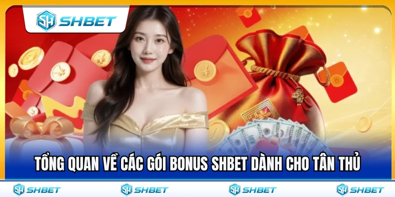 Bonus SHBET Cho Người Mới – Những Mốc Cần Kiểm Tra 2 Giới thiệu tổng quan các gói bonus SHBET cho người mới