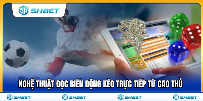 Cược Live SHBET – Theo Dõi Biến Động Kèo Khi Trận Đang Chạy 3 Bí quyết theo dõi biến động kèo trực tiếp từ cao thủ