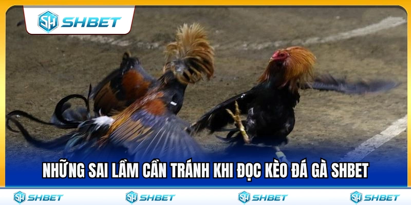 Kèo Đá Gà SHBET – Cách Nhìn Tỷ Lệ Trước Khi Chọn Cửa 4 Các sai lầm phổ biến cần tránh khi soi kèo đá gà SHBET