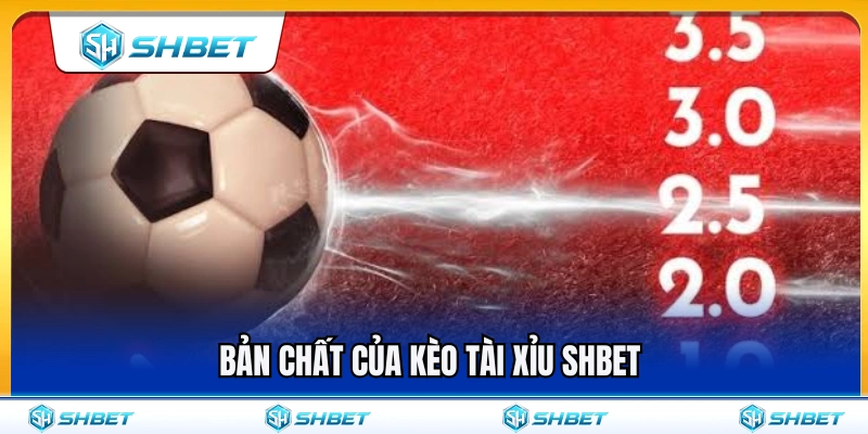 Kèo Tài Xỉu SHBET – Cách Nhìn Mốc Bàn Thắng Trước Khi Chọn 2 Tìm hiểu bản chất kèo tài xỉu SHBET