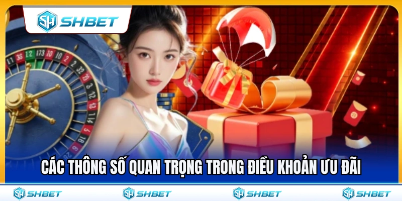 Những thông số quan trọng thuộc điều khoản ưu đãi 