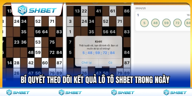 Mẹo tra cứu kết quả lô tô SHBET trong ngày nhanh chóng 