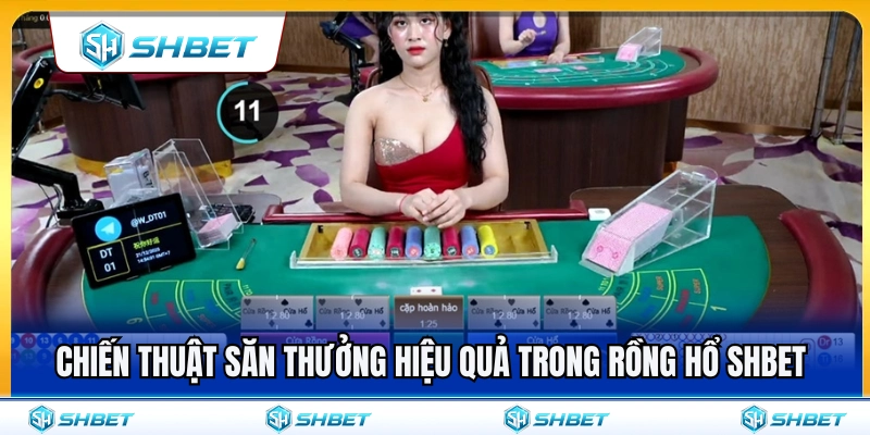 Rồng Hổ SHBET – Ván Nhanh, Luật Gọn, Dễ Theo Dõi 4 Mẹo săn thưởng cực hiệu quả trong rồng hổ SHBET