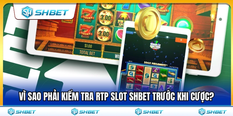 RTP Slot SHBET – Vì Sao Nên Xem Tỷ Lệ Trả Thưởng Trước Khi Chơi? 3 Lý do nên kiểm tra RTP slot SHBET trước lúc xuống tiền