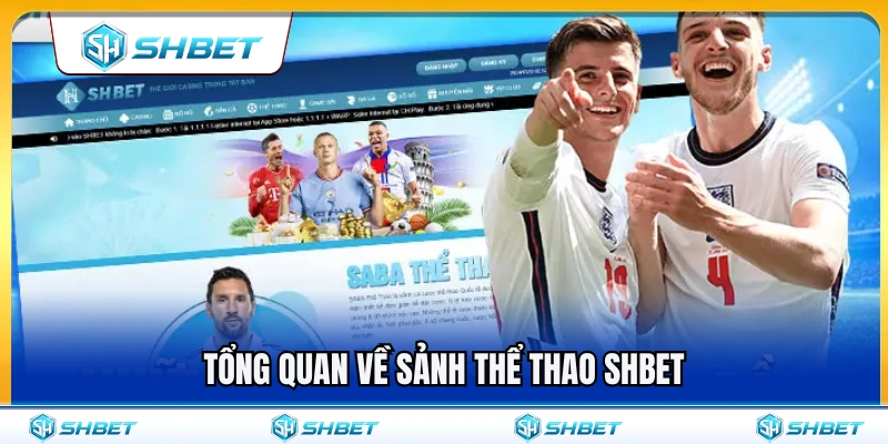 Giới thiệu tổng quan về thể thao SHBET 