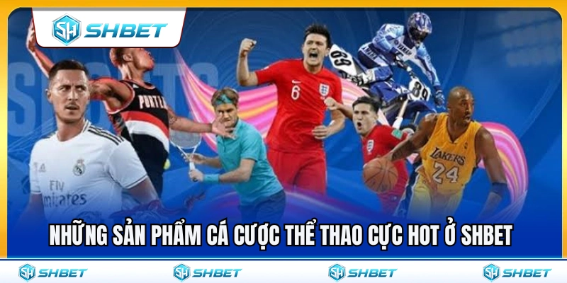 Các sản phẩm cá cược thể thao SHBET siêu hot 