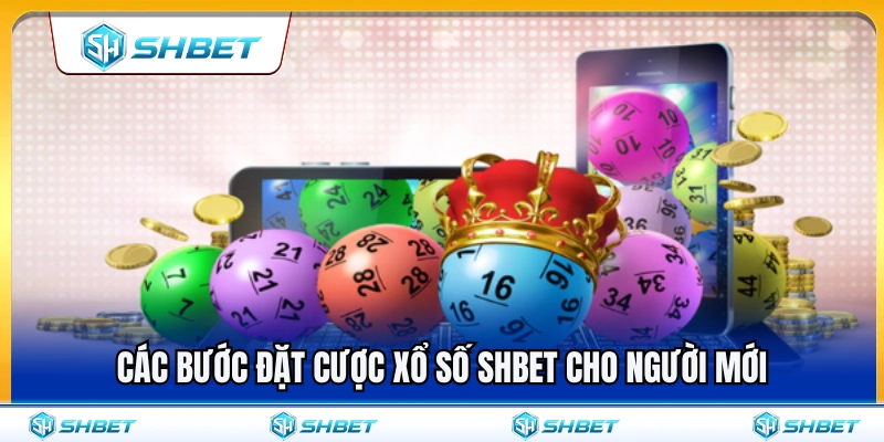 Xổ Số SHBET 3 Quy trình cược xổ số SHBET dành cho người mới