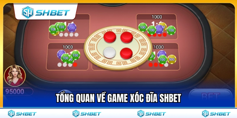 Tìm hiểu thông tin chung về xóc đĩa SHBET 